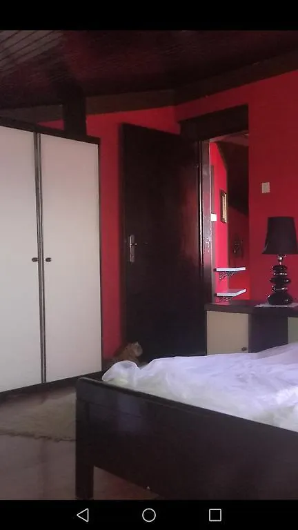 Odvojak Apartments Crikvenica 0*,